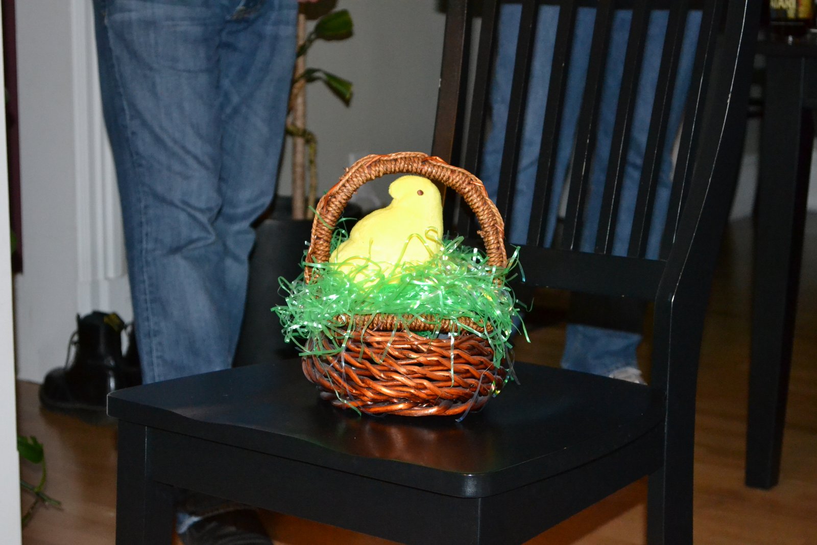 peep_in_basket.JPG